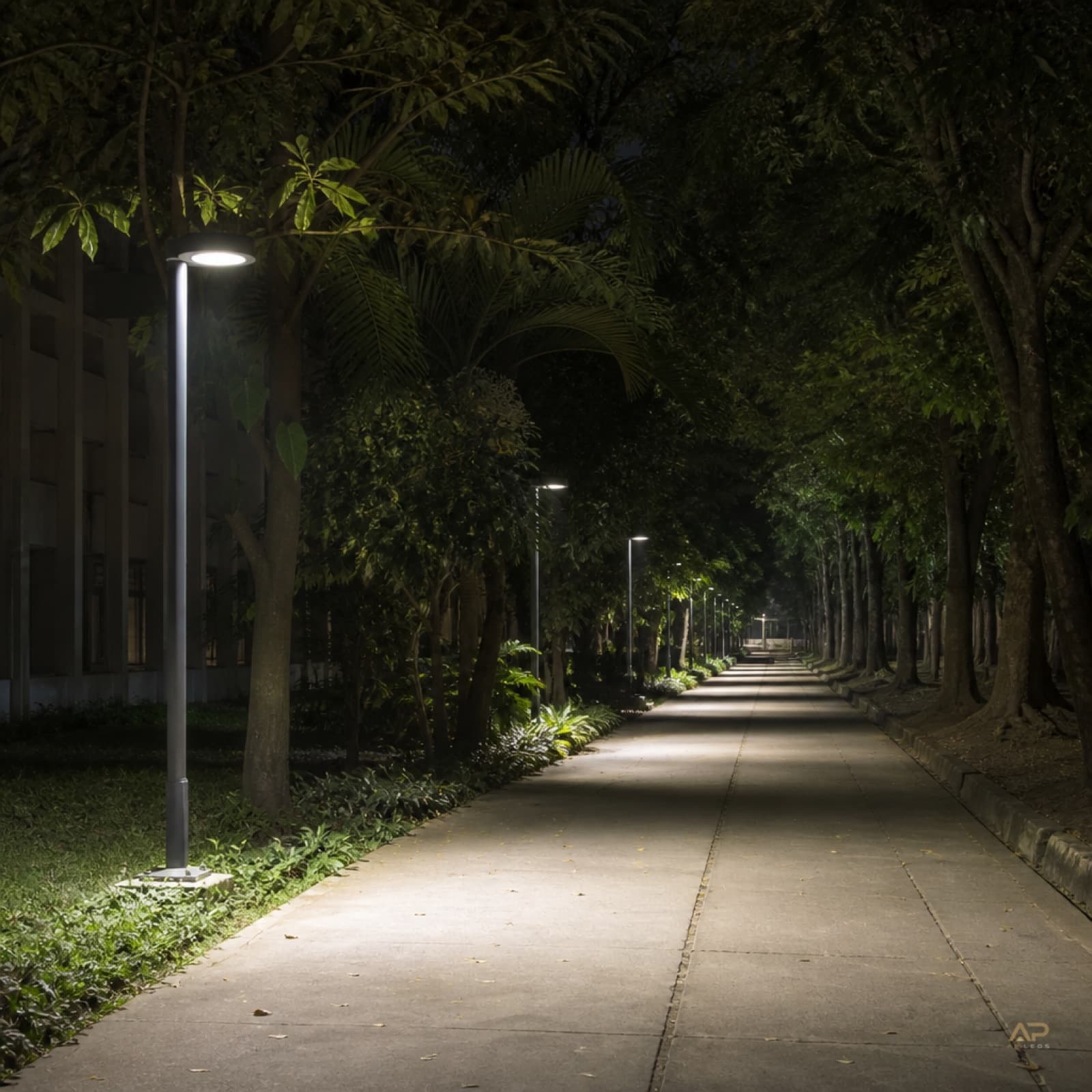 LED Street Light